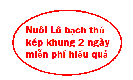 Nuôi bạch thủ lô kép khung 2 ngày